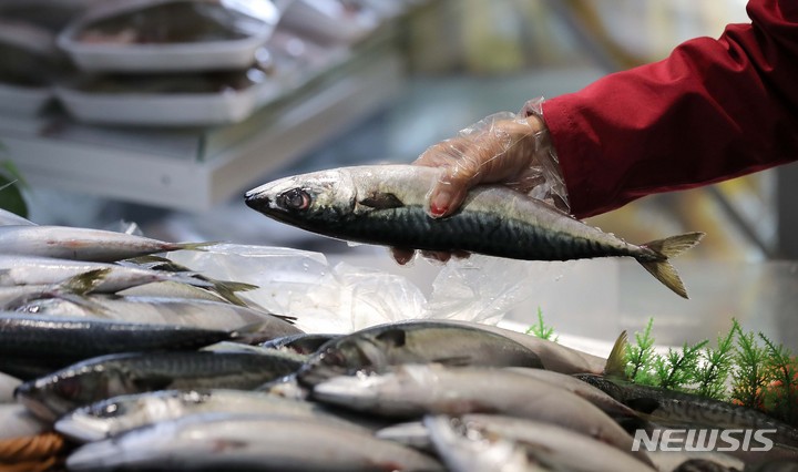 해수부, '활기 넘치는 어촌' 위한 지역활성화 모범사례 공유