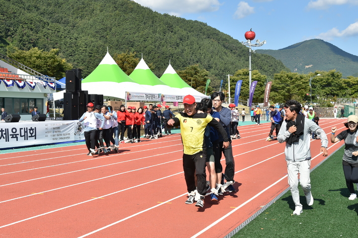 '제50회 청송군민체육대회' 경기 모습 (사진=청송군 제공) *재판매 및 DB 금지