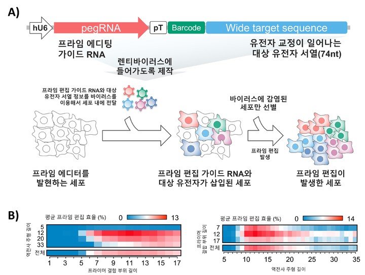 프라임 편집기 실험 방법 및 결과. (사진=과기정통부 제공) *재판매 및 DB 금지