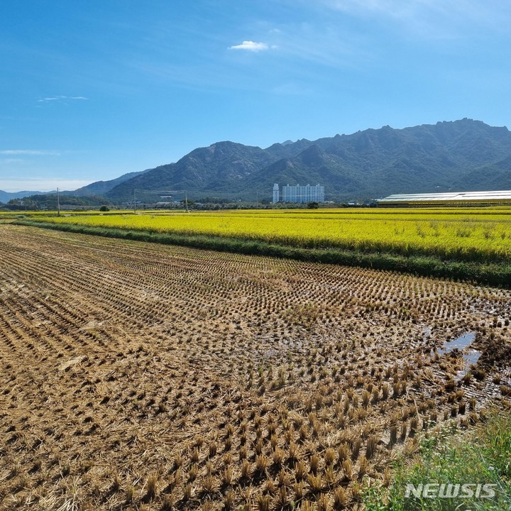 [영암=뉴시스] 전남도가 '유기농 생태마을'로 지정한 영암 군서면 성지천마을. (사진=전남도 제공) 2023.05.01. photo@newsis.com