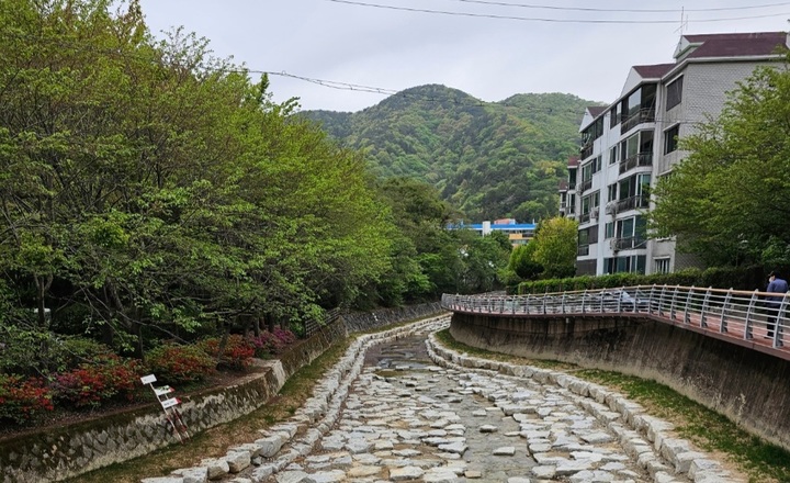 [창원=뉴시스] 강경국 기자 = 경남 창원시가 자연기반해법(NBS)을 도입해 생태하천으로 복원하는 성산구 양곡천. (사진=창원시청 제공). 2023.05.03. photo@newsis.com *재판매 및 DB 금지
