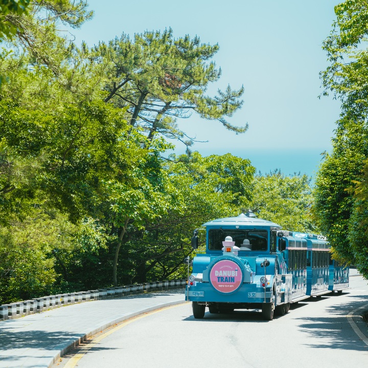 [부산=뉴시스] 부산 영도구 태종대유원지에서 운영 중인 다누비 열차. (사진=뉴시스 DB). photo@newsis.com *재판매 및 DB 금지
