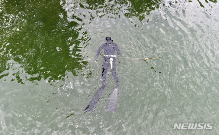 [대구=뉴시스] 이무열 기자 = 3일 오전 대구 달서구 월광수변공원 도원지에서 열린 ‘생태계 교란 야생생물 퇴치 행사’에서 야생생물관리협회 수중팀 잠수부가 배스를 잡기 위해 잠수하고 있다. 2023.05.03. lmy@newsis.com