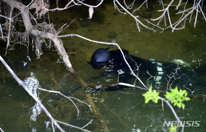 [대구=뉴시스] 이무열 기자 = 3일 오전 대구 달서구 월광수변공원 도원지에서 열린 ‘생태계 교란 야생생물 퇴치 행사’에서 야생생물관리협회 수중팀 잠수부가 배스를 잡기 위해 잠수하고 있다. 2023.05.03. lmy@newsis.com