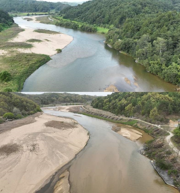 예천군 보문면 내성천의 오른쪽 제방 벌목작업 전(위)과 후(아래) 모습. (사진=대구환경운동연합 제공) *재판매 및 DB 금지