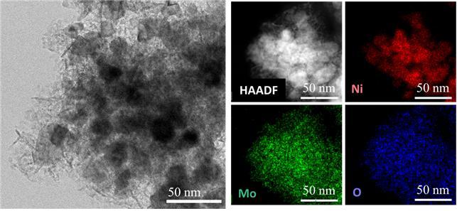 [대전=뉴시스] 니켈-산화 몰리브데넘 복합체의 투과 현미경 이미지(왼쪽)와 조성 분포도. *재판매 및 DB 금지