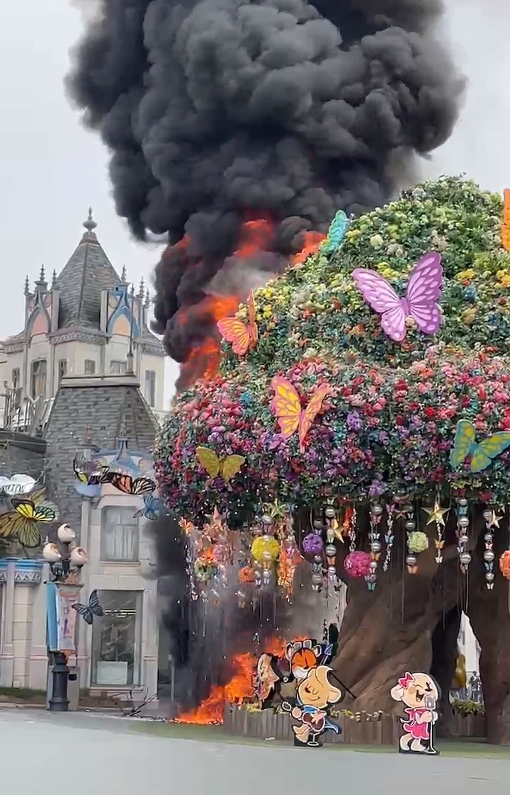 [용인=뉴시스] 경기 용인시 처인구 포곡읍의 에버랜드 내 나무조형물(매직트리)에서 불이 났다. (사진=독자 제공) *재판매 및 DB 금지