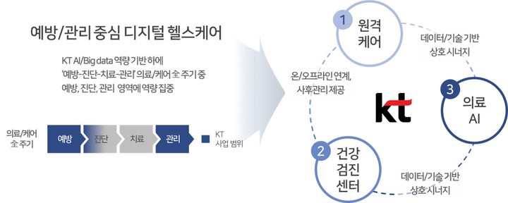 KT의 베트남 헬스케어 사업 개요. (사진=KT 제공) *재판매 및 DB 금지