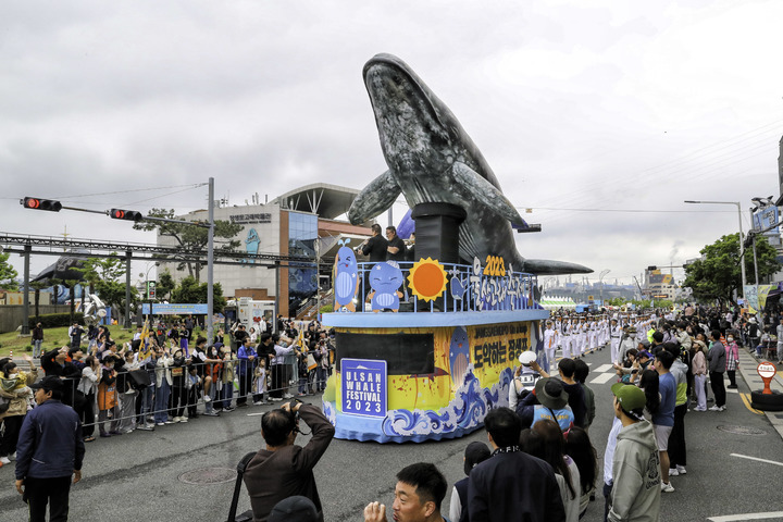 [울산=뉴시스] 지난해 5월 울산 남구 장생포 고래문화특구 일원에서 개최된 울산고래축제. (사진=울산 남구 제공) 2024.09.02. photo@newsis.com  *재판매 및 DB 금지