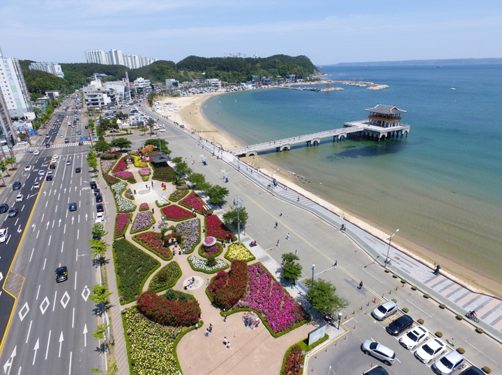 [포항=뉴시스] 강진구 기자 = 경북 포항시는 오는 20일 장미꽃이 만발한 영일대 장미원에서 ‘날마다 장미꽃 같아라’를 부제로 ‘2023 포항 바다장미축제’를 개최한다고 16일 밝혔다. 사진은 영일대 장미원 전경.(사진=포항시 제공0 2023.05.16.photo@newsis.com     *재판매 및 DB 금지