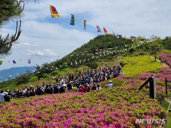 신어산 철쭉축제 자료사진