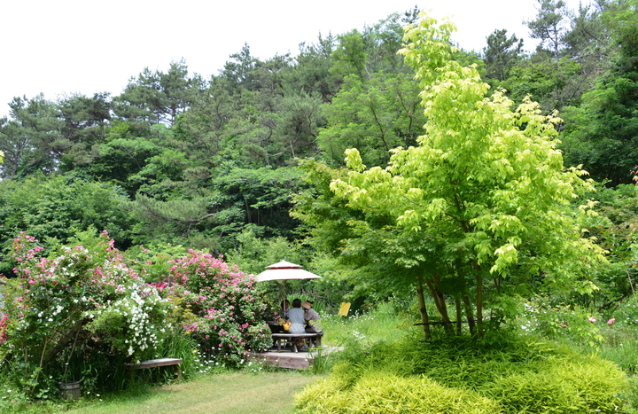 전남 제2호 민간정원인 담양 죽화경. (사진=담양군 제공) *재판매 및 DB 금지