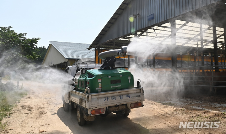 [용인=뉴시스] 김종택 기자 = 한우 육우 농장 방역 모습. 2023.05.17. jtk@newsis.com