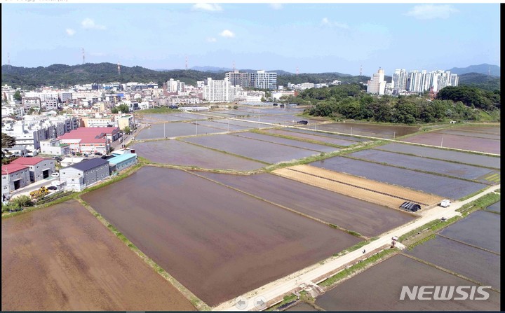 '호조벌' 전경.
