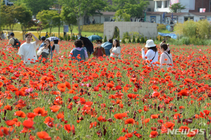 [울산=뉴시스] 배병수 기자 = 태화강 국가정원 봄꽃축제가 20일 울산 중구 태화강 국가정원 왕버들마당 인근에서 열리고 있다. 2023.05.20. bbs@newsis.com