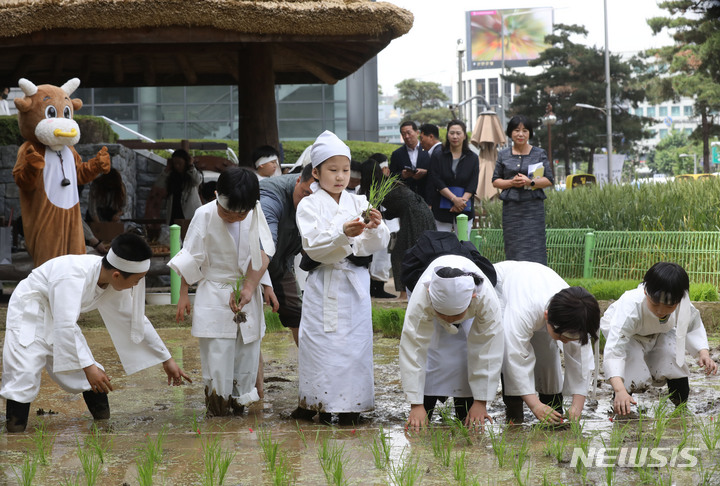 [서울=뉴시스] 조수정 기자 = 22일 오전 서울 중구 농협 농업박물관 야외체험농장에서 미동초등학교 3학년 학생들이 못줄을 사용한 전통 손모내기 체험을 하고 있다. 2023.05.22. chocrystal@newsis.com