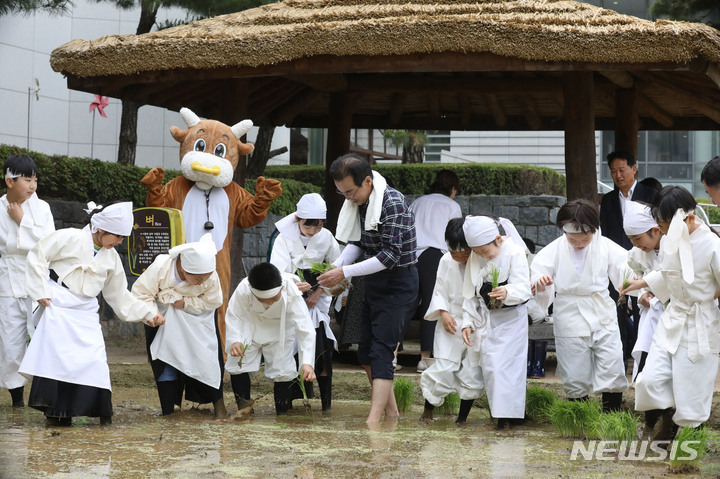 [서울=뉴시스] 조수정 기자 = 22일 오전 서울 중구 농협 농업박물관 야외체험농장에서 이성희 농협중앙회장과 미동초등학교 3학년 학생들이 못줄을 사용한 전통 손모내기 체험을 하고 있다. 2023.05.22. chocrystal@newsis.com