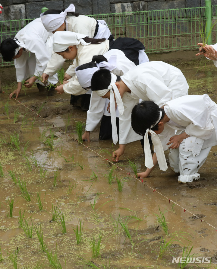 [서울=뉴시스] 조수정 기자 = 22일 오전 서울 중구 농협 농업박물관 야외체험농장에서 미동초등학교 3학년 학생들이 못줄을 사용한 전통 손모내기 체험을 하고 있다. 2023.05.22. chocrystal@newsis.com