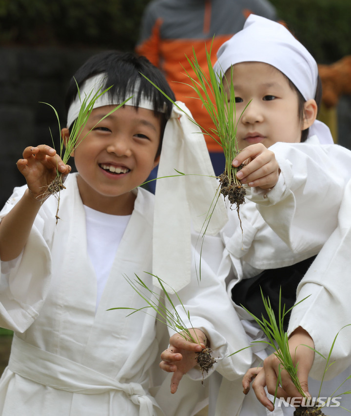 [서울=뉴시스] 조수정 기자 = 22일 오전 서울 중구 농협 농업박물관 야외체험농장에서 미동초등학교 3학년 학생들이 못줄을 사용한 전통 손모내기 체험을 하고 있다. 2023.05.22. chocrystal@newsis.com