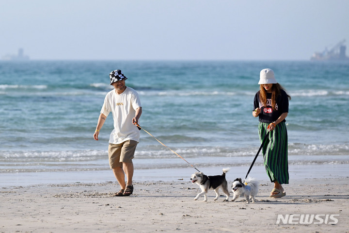 [제주=뉴시스] 전세기를 타고 제주에 도착한 시민들과 반려견이 협재해수욕장에서 산책을 하고 있다. (사진=뉴시스DB) photo@newsis.com