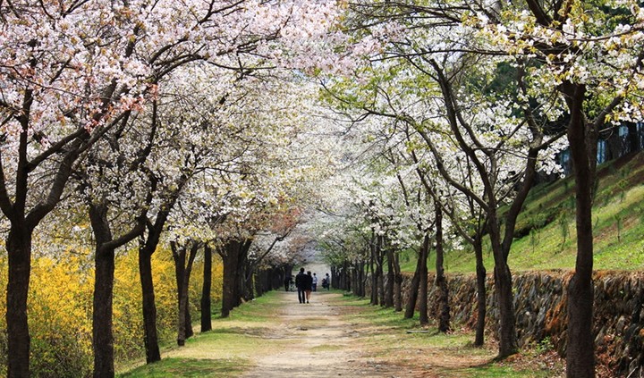 원주굽이길 3코스 화촌달맞이길. *재판매 및 DB 금지