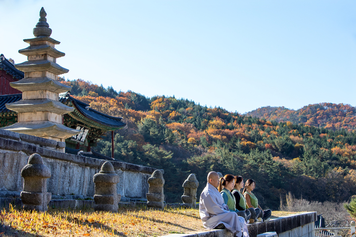 [서울=뉴시스] 금강계단 참선 (사진=한국불교문화사업단 제공) 2023.05.24. photo@newsis.com *재판매 및 DB 금지