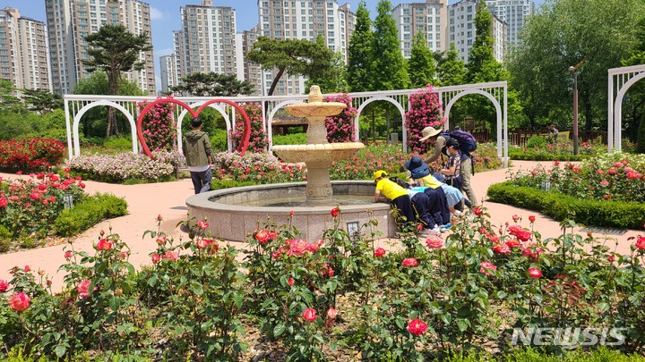 [오산=뉴시스] 오산시 고인돌공원내 '장미뜨레' 모습 (사진 = 오산시 제공)