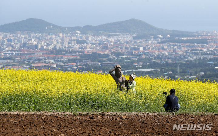 [제주=뉴시스] 우장호 기자 = 제주시 중산간 들판에 봄꽃인 유채꽃이 활짝 피어 시선을 사로 잡고 있다. (사진=뉴시스DB) woo1223@newsis.com