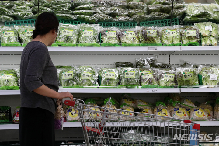 [서울=뉴시스] 김명년 기자 = 서울시내 한 대형마트에서 시민들이 장을 보고 있다. 2023.05.25. kmn@newsis.com