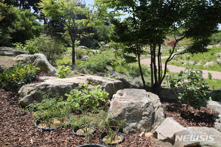 [서울=뉴시스]서울식물원이 30일 '멸종위기 야생생물 전시원'을 조성해 시민들에게 공개한다. (사진=서울시 제공). 2023.05.30. photo@newsis.com