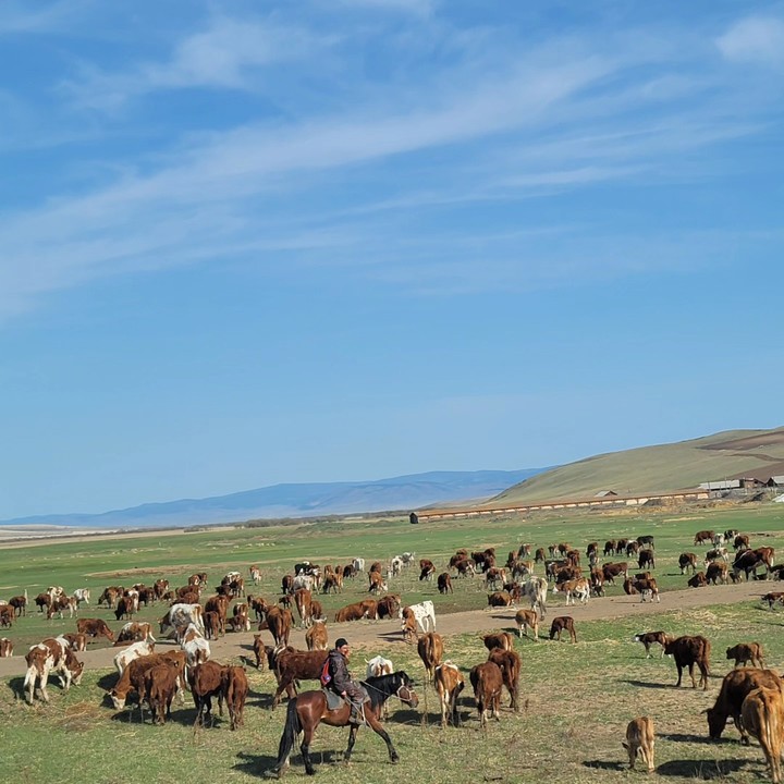 치타 가는 길 *재판매 및 DB 금지