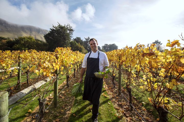 혹스베이 크레기 레인지 포도밭ⓒMatt-Crawford (사진=뉴질랜드관광청 제공) photo@newsis.com *재판매 및 DB 금지