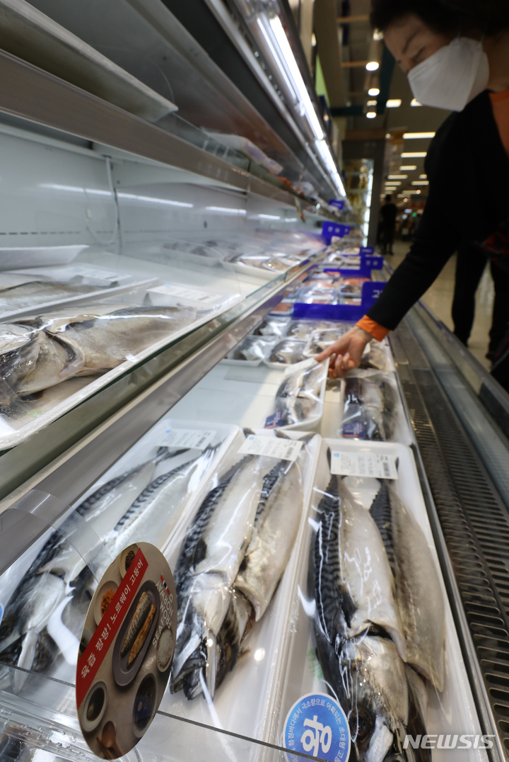 [서울=뉴시스] 김금보 기자 = 서울시내 한 대형마트 내 생선 코너. 2023.05.29. kgb@newsis.com