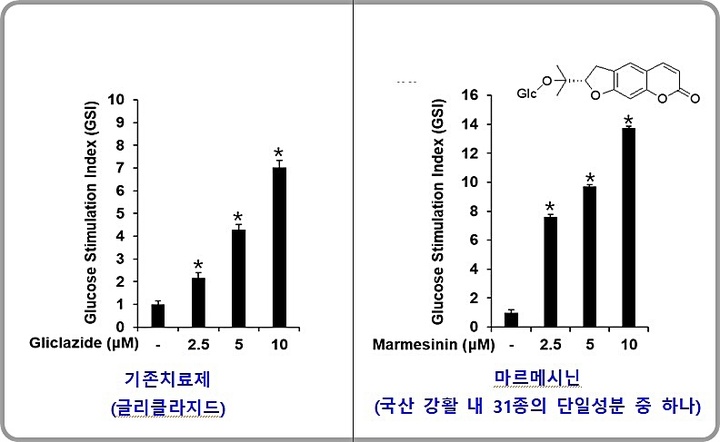 [대전=뉴시스] 강활의 효능성분 중 마르메시닌(Marmesinin)은 췌장의 베타(β)세포 대사와 관련된 단백질 발현을 증가시켜 인슐린 분비를 촉진, 인슐린 저항성을 개선시킨다. 인슐린 분비능 실험에서 기존 치료제인 글리클라지드(Gliclazide) 대비 200%의 효능 증가가 확인됐다. *재판매 및 DB 금지