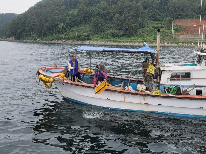 창원시, '수산자원 조성' 볼락 치어 38만마리 방류