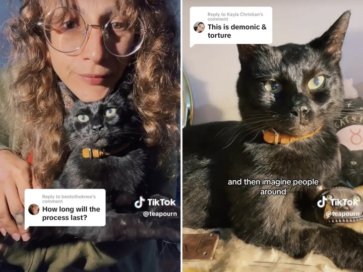 [서울=뉴시스] 미국 오리건주 포틀랜드에 사는 패션디자이너 소렌 하이(35)는 16년간 키우던 고양이 로키가 갑작스러운 사고로 세상을 떠나자 '동결건조 방식'의 박제를 통해 추모했다고 31일(현지시간) 미국 비즈니스인사이더가 보도했다. (사진=미국 비즈니스인사이더)2023.05.31. *재판매 및 DB 금지