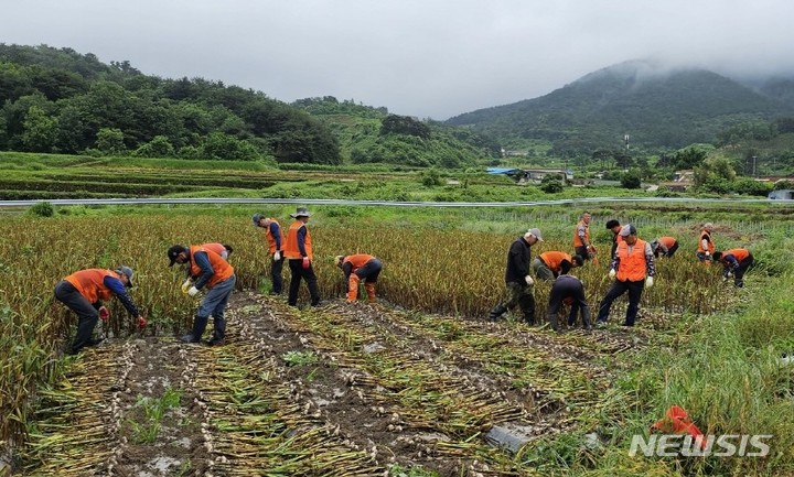 한국티씨 임직원 15명 농가 일손 돕기 '훈훈'