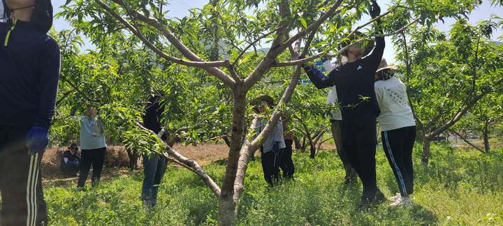 충북 영동군 인력중개센터 근로자들 *재판매 및 DB 금지