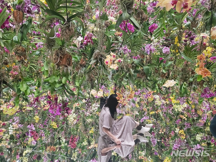 [마카오=뉴시스] 류난영 기자 = 26일(현지시간) 중구 마카오 특별행정구 베네시안 마카오 코타이 엑스포에 위치한 '팀랩 슈퍼네이처 마카오' 전시회에서 관람객이 포즈를 취하고 있다. 사진은 플로팅 플라워 가든의 모습.