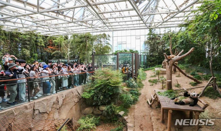 &nbsp; 에버랜드 판다월드를 찾은 방문객들