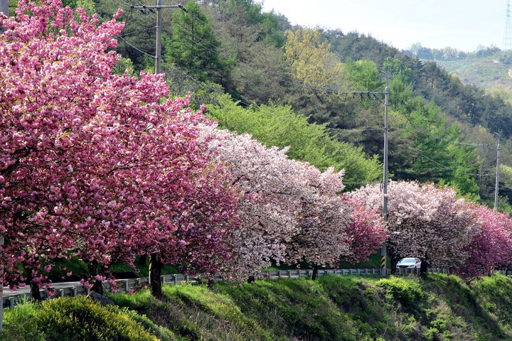 [창원=뉴시스] 제22회 푸른경남상 관리부문 수상, 산청군 오부면 청우회.(사진=경남도 제공) *재판매 및 DB 금지