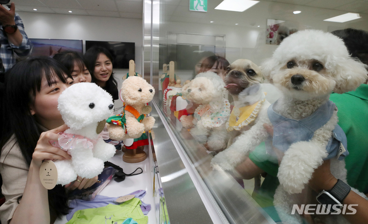 [서울=뉴시스] 조성우 기자 = 1일 오후 서울 강서구 김포공항 국내선 여객터미널에 문을 연 애견센터에서 공항공사 직원들이 위탁 반려견들과 인사를 나누고 있다. 2023.06.01. xconfind@newsis.com