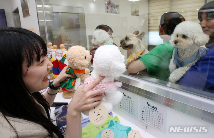 [서울=뉴시스] 조성우 기자 = 1일 오후 서울 강서구 김포공항 국내선 여객터미널에 문을 연 애견센터에서 공항공사 직원들이 위탁 반려견들과 인사를 나누고 있다. 2023.06.01. xconfind@newsis.com