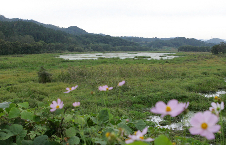 [창원=뉴시스] 홍정명 기자=경상남도 대표 우수습지로 재지정된 함안군 질날늪.(사진=경남도 제공) 2023.06.02.&nbsp; photo@newsis.com *재판매 및 DB 금지