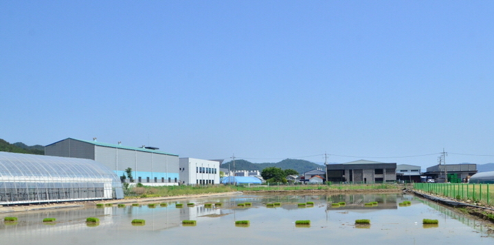 밀양시 농업기술센터 벼 재배포장 전경. *재판매 및 DB 금지