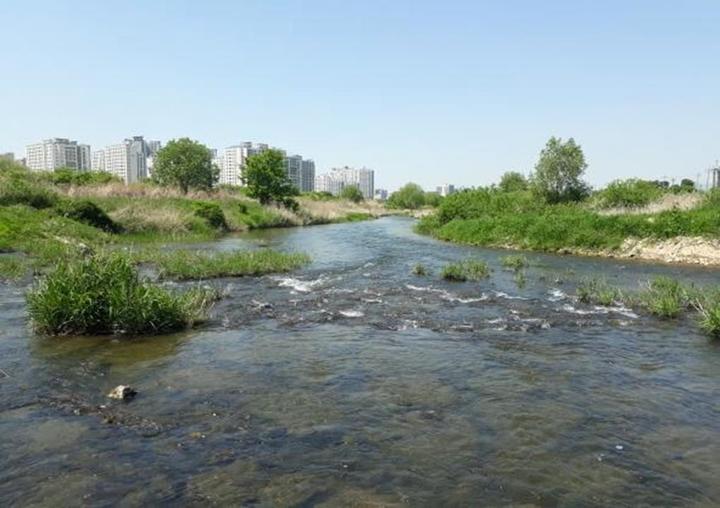 [서울=뉴시스] 갑천습지 전경. (사진=환경부) 2023.06.04. photo@newsis.com *재판매 및 DB 금지 *재판매 및 DB 금지