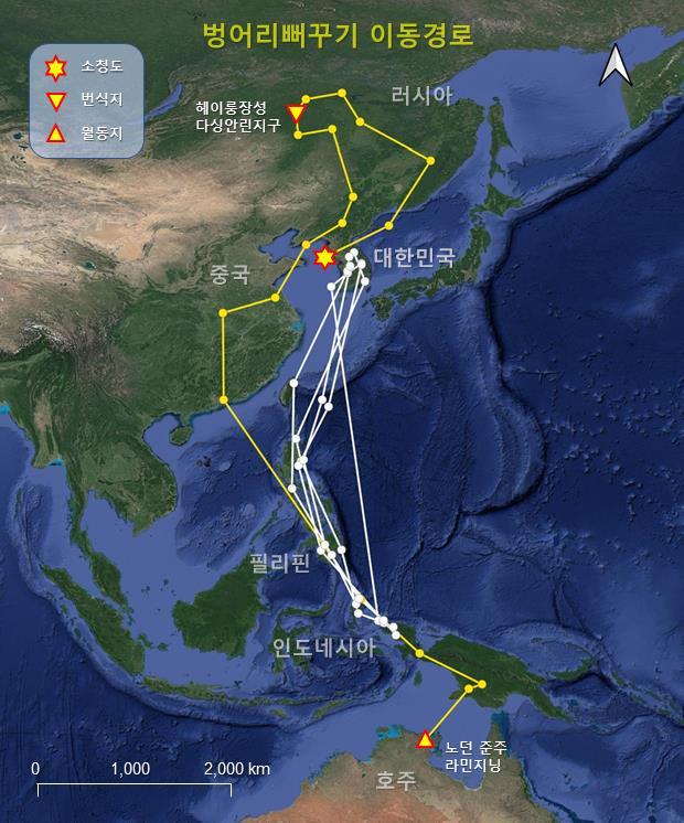[서울=뉴시스] 벙어리뻐꾸기 이동경로. (자료=국립생물자원관 제공) 2023.06.05. photo@newsis.com *재판매 및 DB 금지 *재판매 및 DB 금지