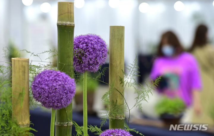 [대구=뉴시스] 이무열 기자 = 2일 대구 북구 엑스코에서 열린 ‘제14회 대구꽃박람회’를 찾은 관람객들이 다양하게 전시된 꽃을 관람하며 즐거운 시간을 보내고 있다. 2023.06.02. lmy@newsis.com