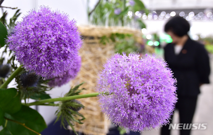 [대구=뉴시스] 대구꽃박람회를 찾은 관람객이 다양하게 전시된 꽃을 관람하며 즐거운 시간을 보내고 있는 모습이다. 뉴시스DB. 2024.06.023 photo@newsis.com