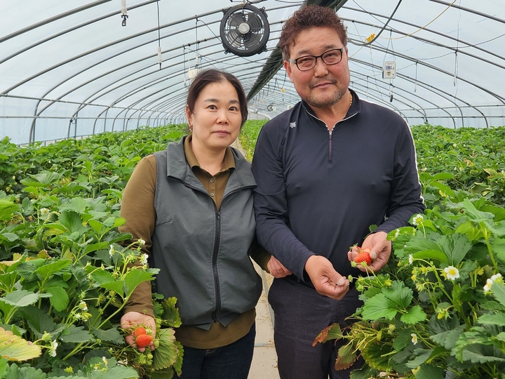 사진 왼쪽부터 하윤숙·정서영 부부 *재판매 및 DB 금지